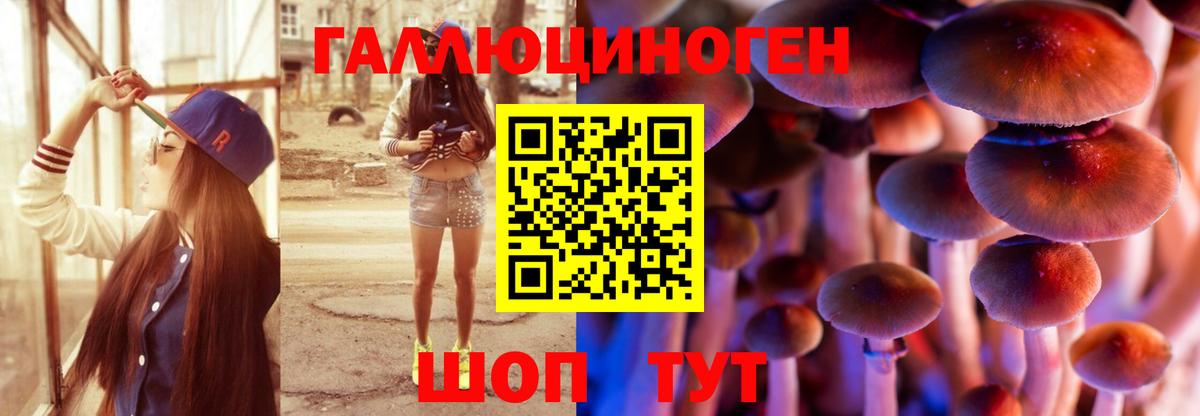 Псилоцибиновые грибы Cubensis Аша